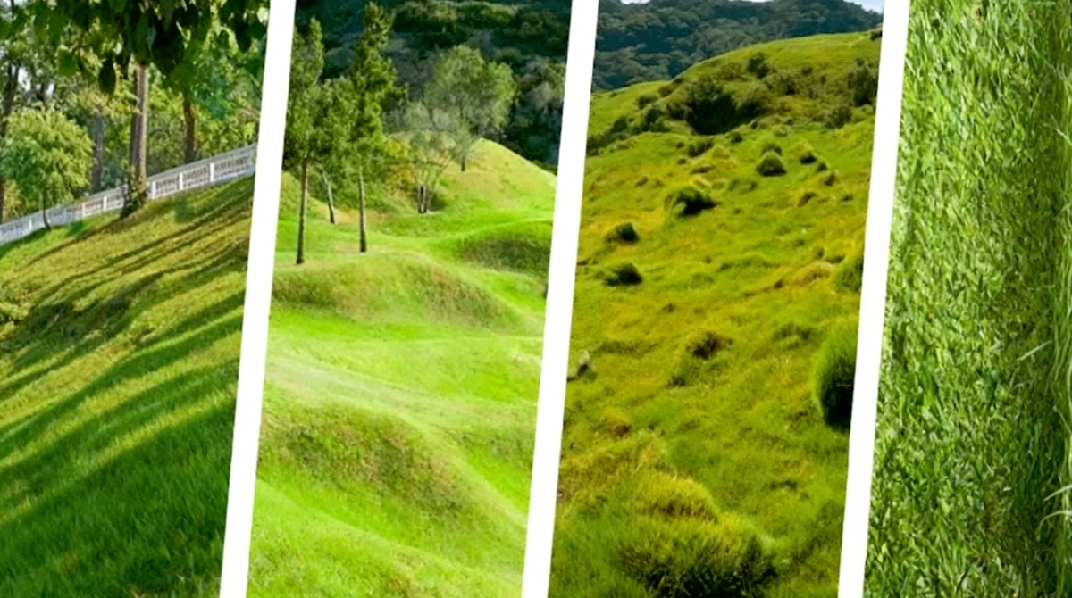 适配多地形，不重复、不漏割